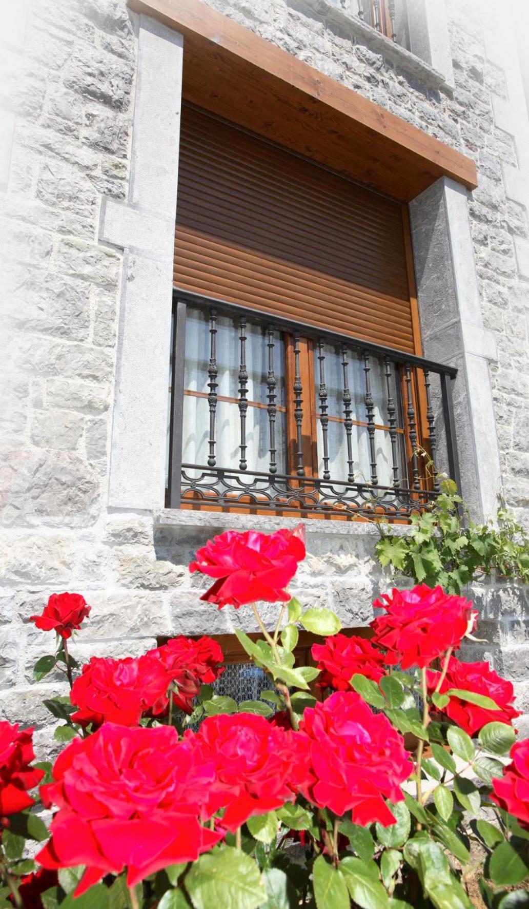 Apartamentos Rurales La Vina Cangas de Onis Exterior photo